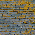 How Different Roofing Systems Deal With Humidity