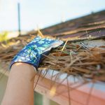 The Most Damaging Debris for Roofs